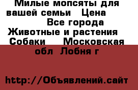 Милые мопсяты для вашей семьи › Цена ­ 20 000 - Все города Животные и растения » Собаки   . Московская обл.,Лобня г.